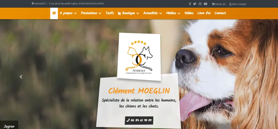 Capture du site Animals CC