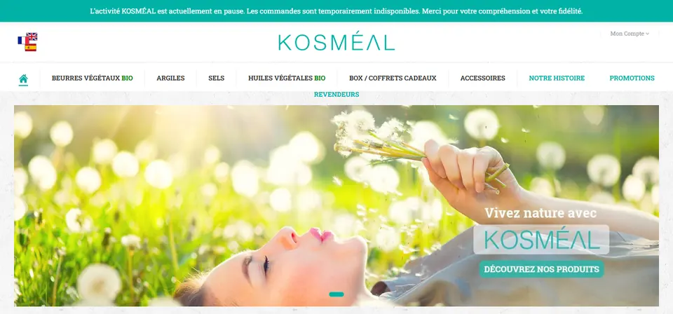 Capture du site Kosmeal