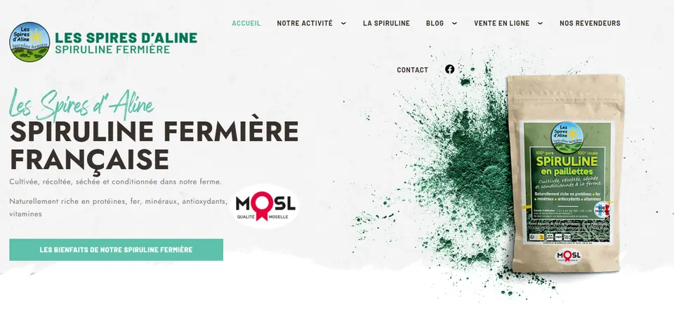 Capture du site Les Spires d’Aline